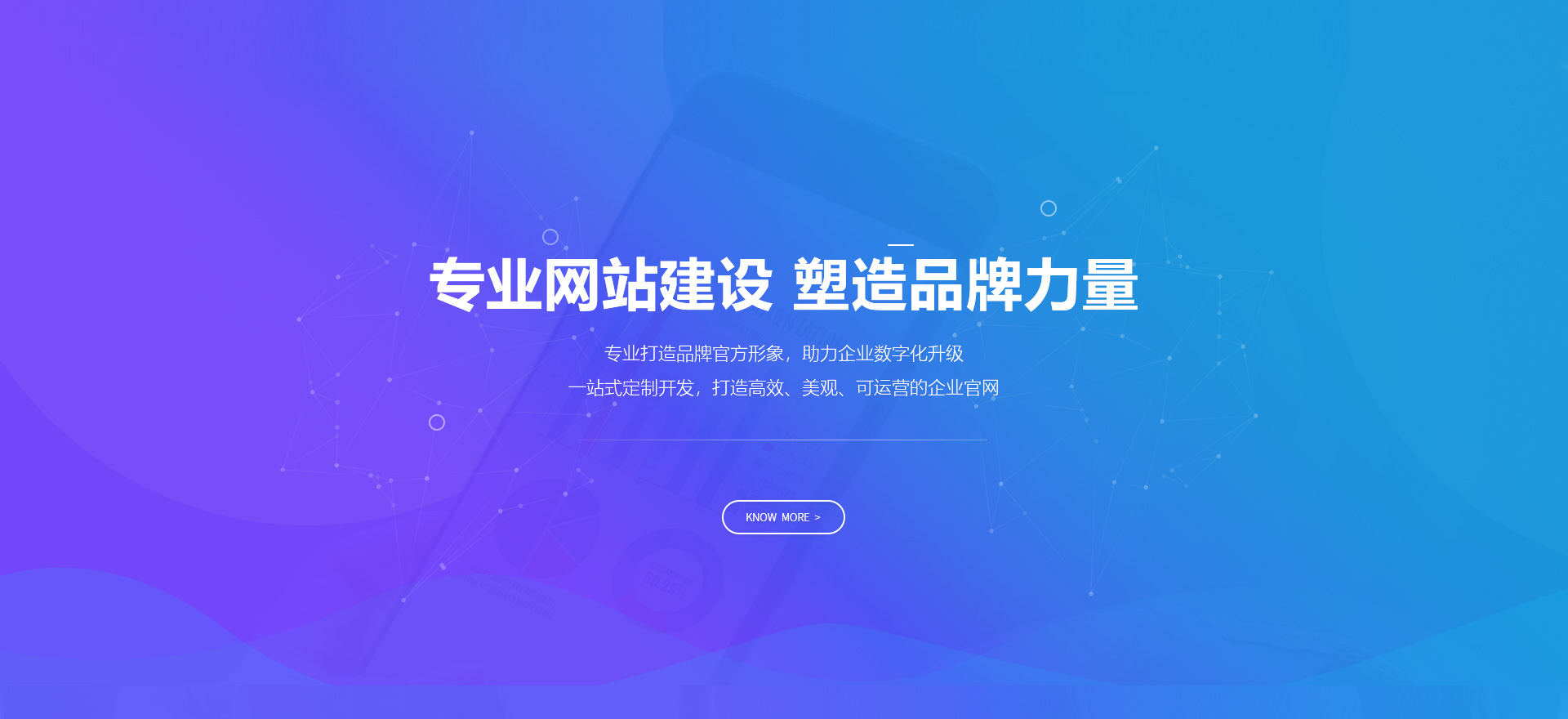 娄底建站-专业网站建设 塑造品牌力量