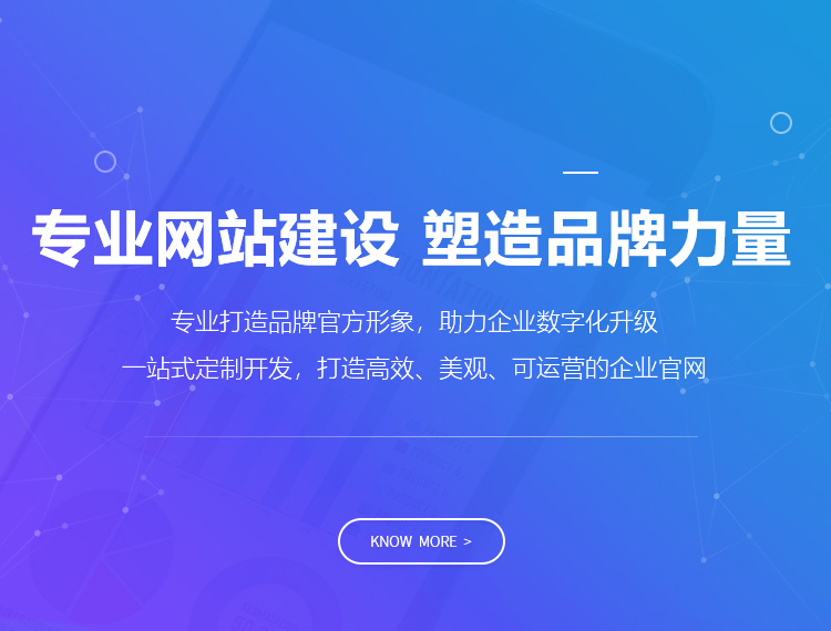 娄底建站-专业网站建设 塑造品牌力量
